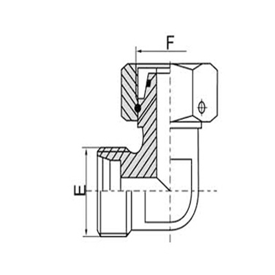 2C9/2D9